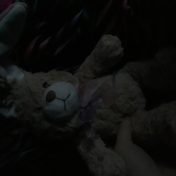 Stuffed Rabbit - Picture 1 of 2